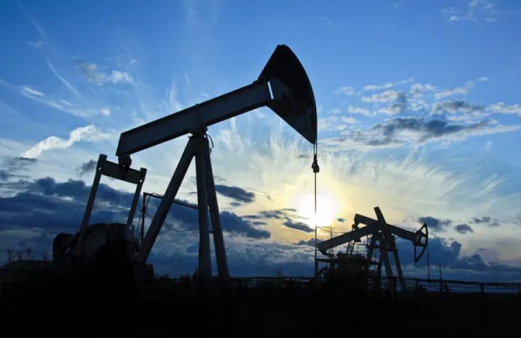 Ціна нафти на 13 липня – ціна на нафту Brent, WTI, Urals