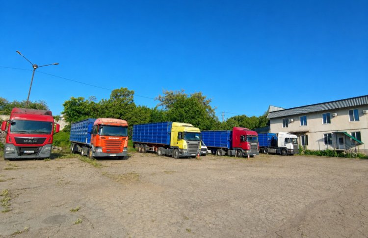 В Олександрії продають логістичну компанію, що перевозила до 1 млн тонн зерна: яка ціна