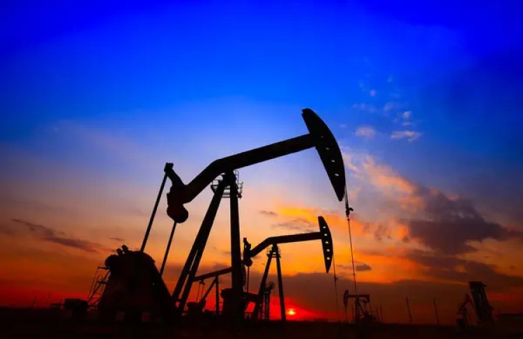Ціна нафти на 20 травня – ціна на нафту Brent, WTI, Urals