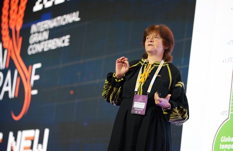 Кліматична загроза: до 2050 року дві третини території України можуть потерпати від злив і паводків