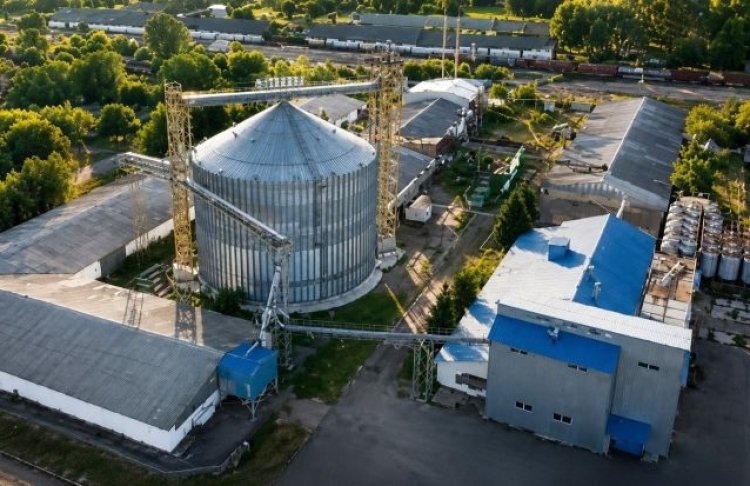 Ціна не розголошується: під Полтавою продають олійний завод, який потребує понад $2 млн