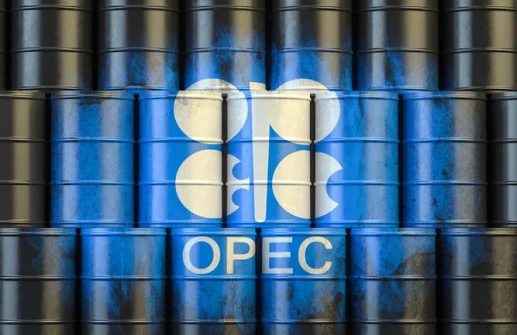 Країни ОПЕК збільшили видобуток нафти на 3,3 мільйона барелів після завершення блокади