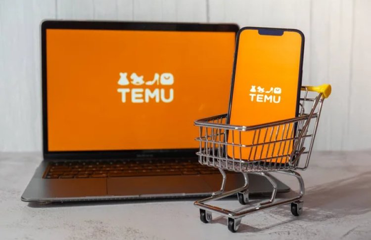 ЄС вводить мито 3 євро на дрібні посилки з Temu