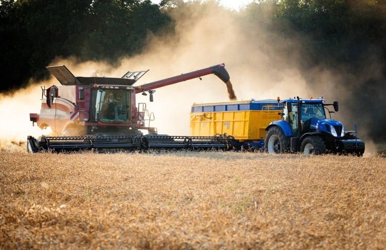 Після посилення критеріїв бронювання 44% агрокомпаній можуть втратити статус критично важливих