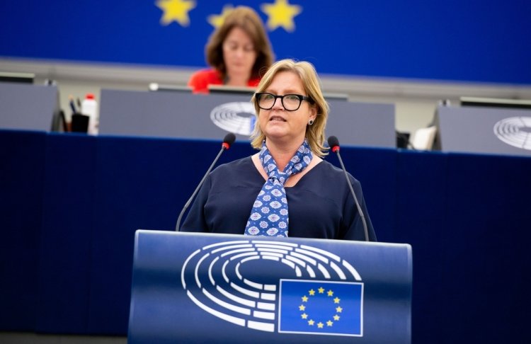 У Європарламенті наголосили на важливості металургії для стійкості України