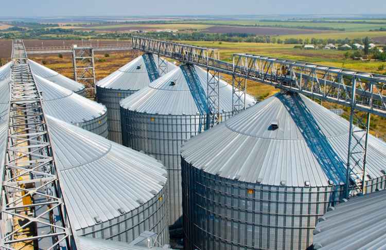 Власна електрика для елеваторів: Kernel запускає дві сонячні станції та продаватиме надлишки в мережу