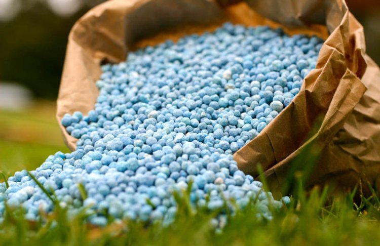 В Україні скорочується ринок добрив: які види сировини в дефіциті та що чекає на агросектор
