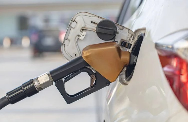 Українці віддають перевагу бензиновим авто: продажі електромобілів падають