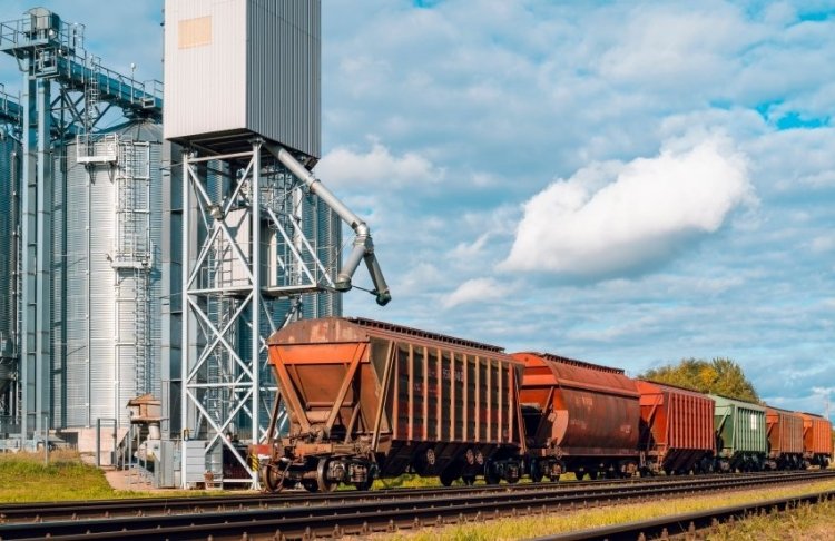 Експорт агропродукції зростає: 