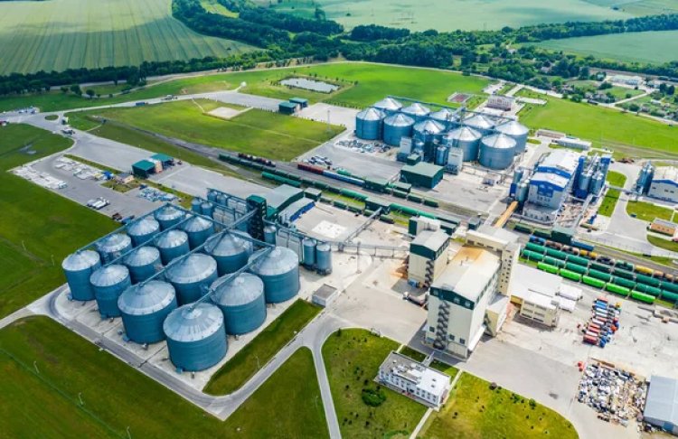 Світові перевізники масово обирають етанол замість нафти: які плюси нового палива