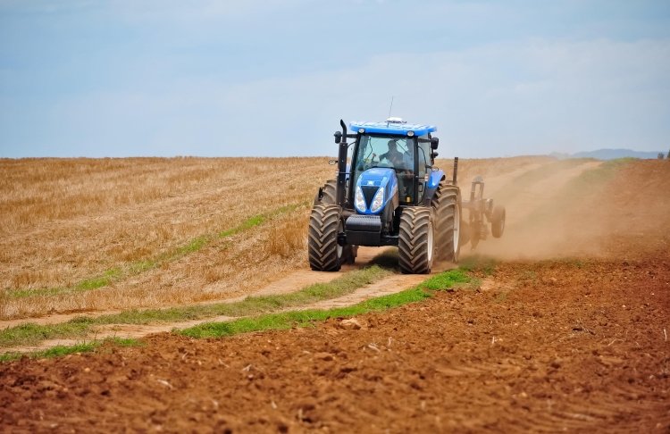 Аграрії завершують весняну посівну: скільки гектарів засіяно