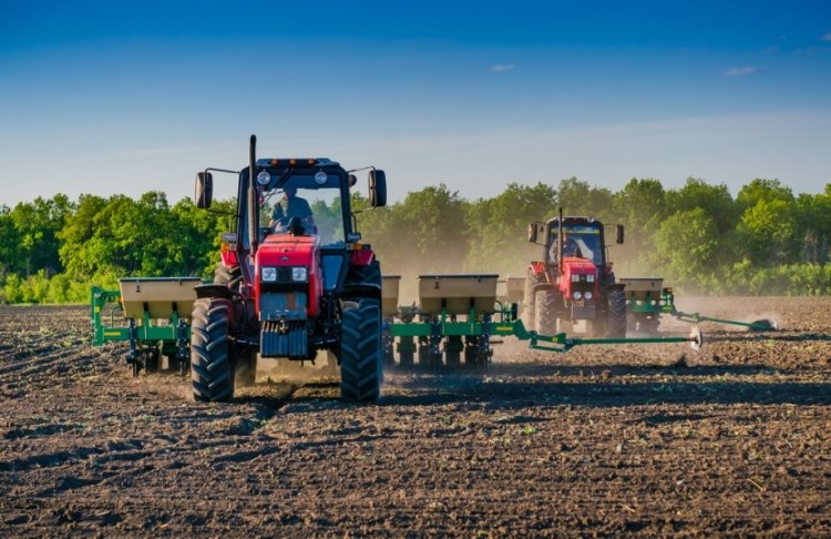В Україні завершили посівну: який прогнозують урожай