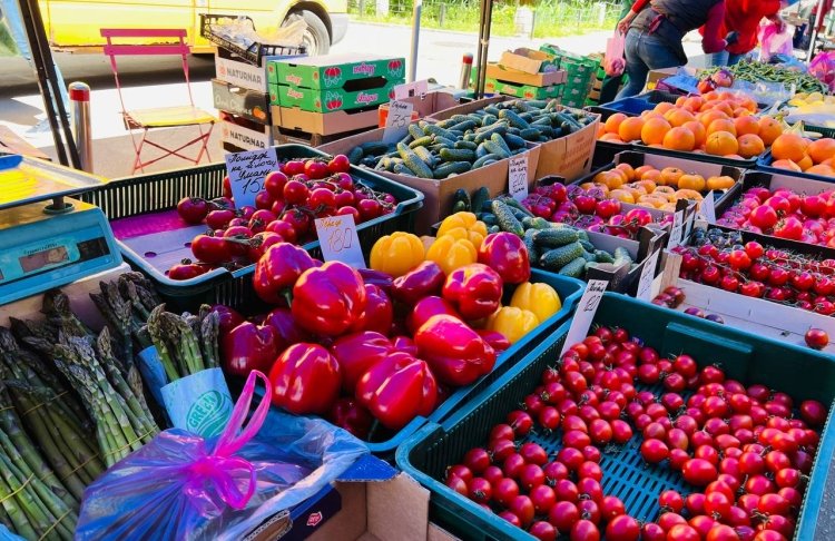 Молочка, м’ясо, хліб та овочі: які продукти дорожчатимуть
