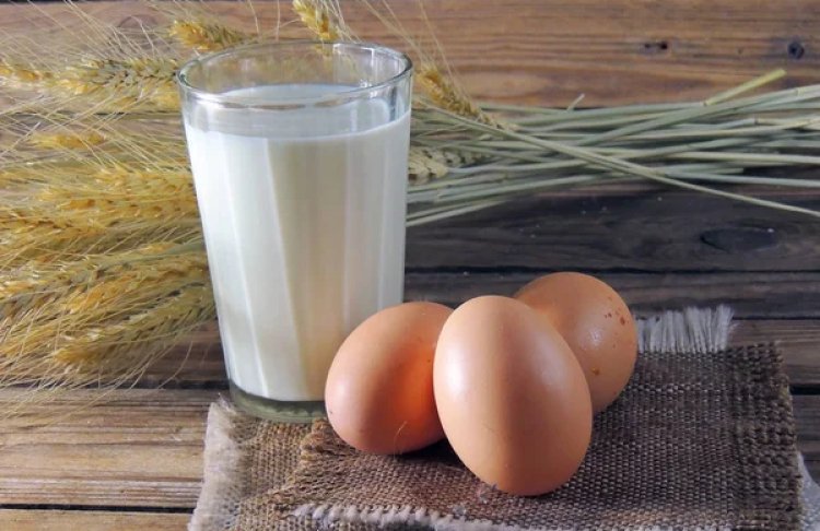 Україна планує експортувати молочну продукцію та яйця до Індії