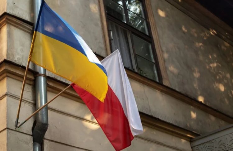 Польський бізнес інвестує в Україну попри дипломатичні суперечки
