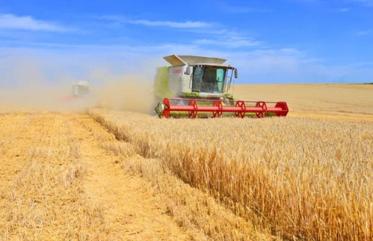 Акції українських агрохолдингів ростуть: які компанії дорожчають на біржах Європи