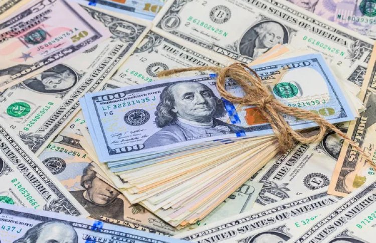 НБУ скоротив валютні інтервенції майже на чверть за тиждень