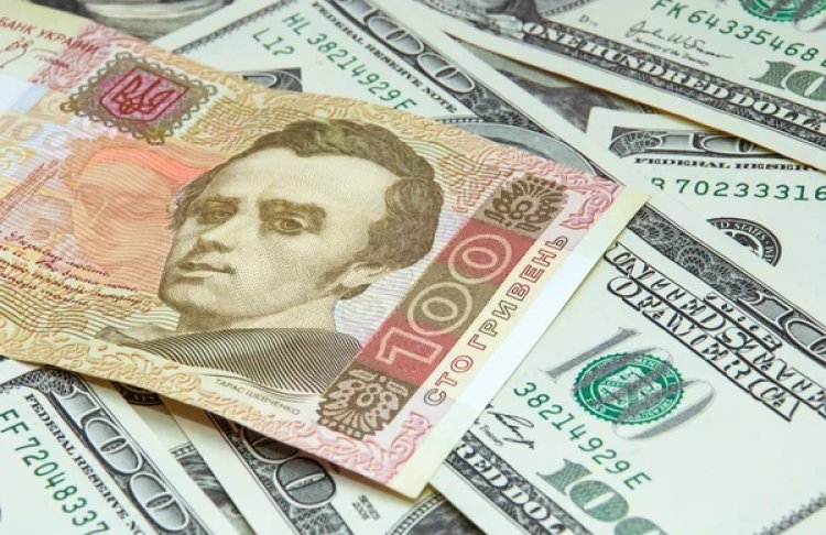 НБУ підтримує курс гривні рекордними вливаннями: що відбувається на валютному ринку у липні