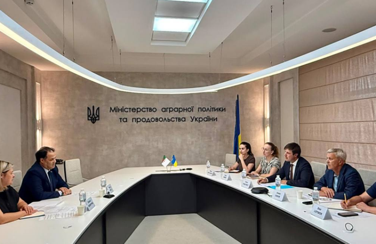 Україна розширює присутність у Північній Африці: які нові продукти потраплять на ринок Алжиру