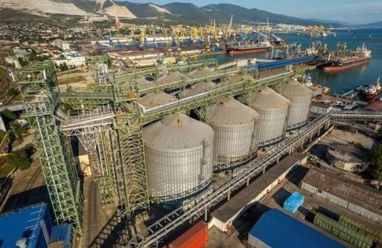 Росія зупинила роботу двох зернових терміналів у Новоросійську через атаку дронів – Reuters
