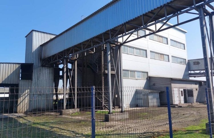 На Дніпропетровщині виставили на продаж великий олійний завод: що входить у вартість