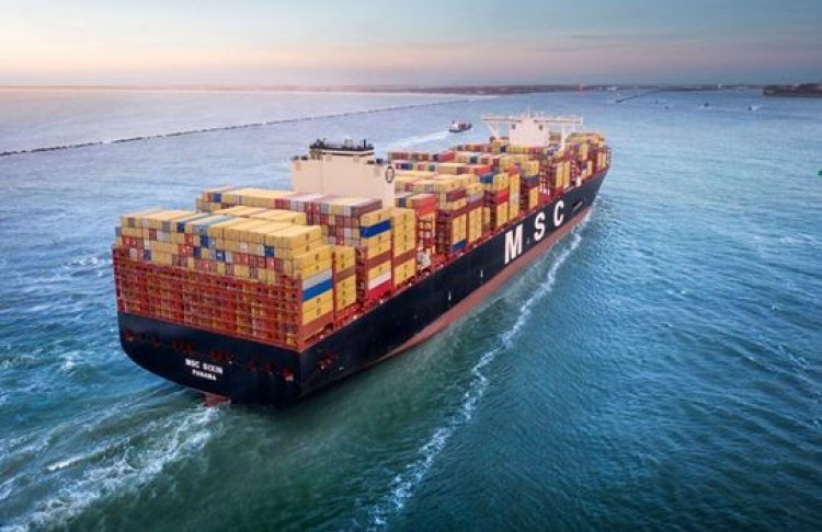 Найбільший у світі контейнерний перевізник MSC зупинив рейси до Новоросійська