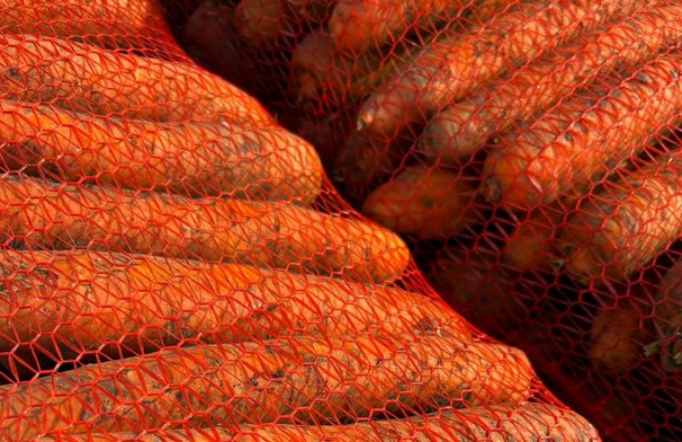 Морква дешевшає три тижні поспіль: чому українські фермери скидають ціни