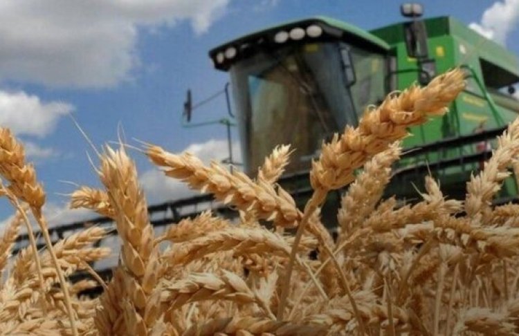 Російський дрон атакував елеватор у Миколаєві