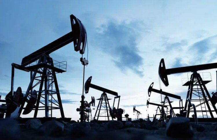 Світові запаси нафти скоротилися майже вдвічі і стали 