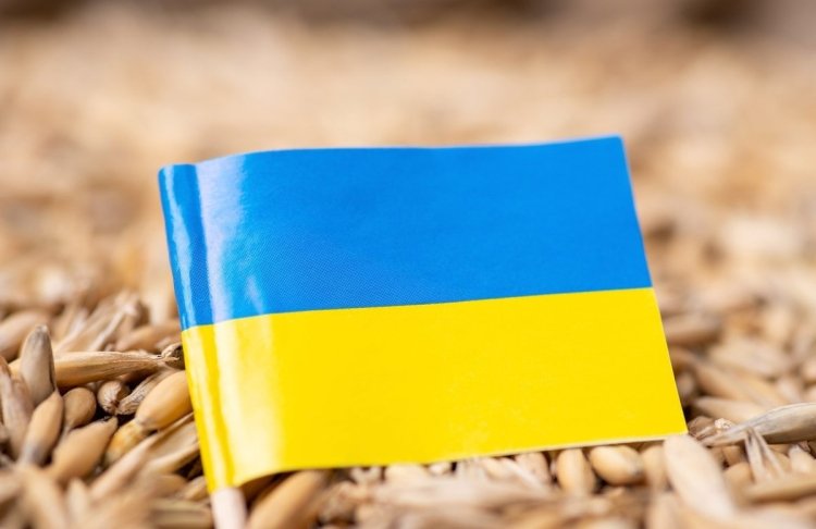 Україна готова на перехідні обмеження для агросектору під час вступу до ЄС