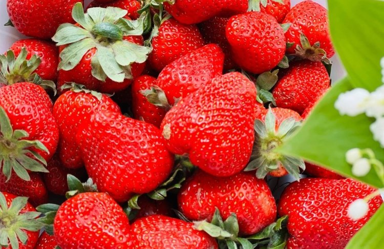Ціни на фрукти в Україні — актуальна вартість на 5 червня