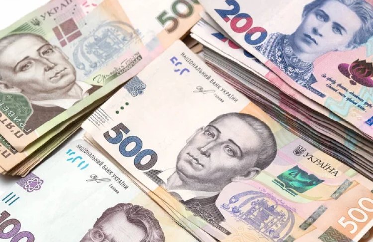 Плюс 56 мільярдів до бюджету: надходження єдиного внеску зросли майже на 18% за пів року