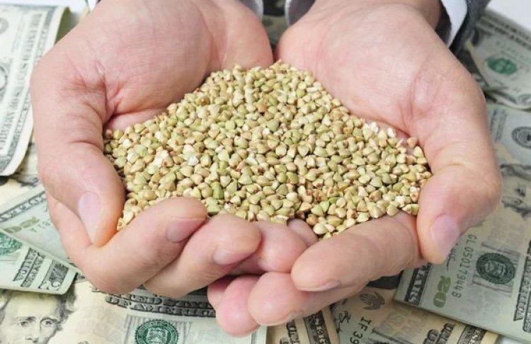 Український агроекспорт забезпечив 60% усіх валютних надходжень: що купує світ