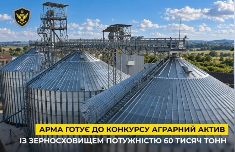 Зерносховище на 60 тисяч тонн: АРМА шукає управителя для Волиця-Агро